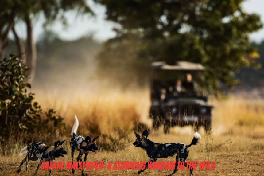 safari wallpaper
