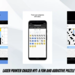 laser pointer chaser nyt